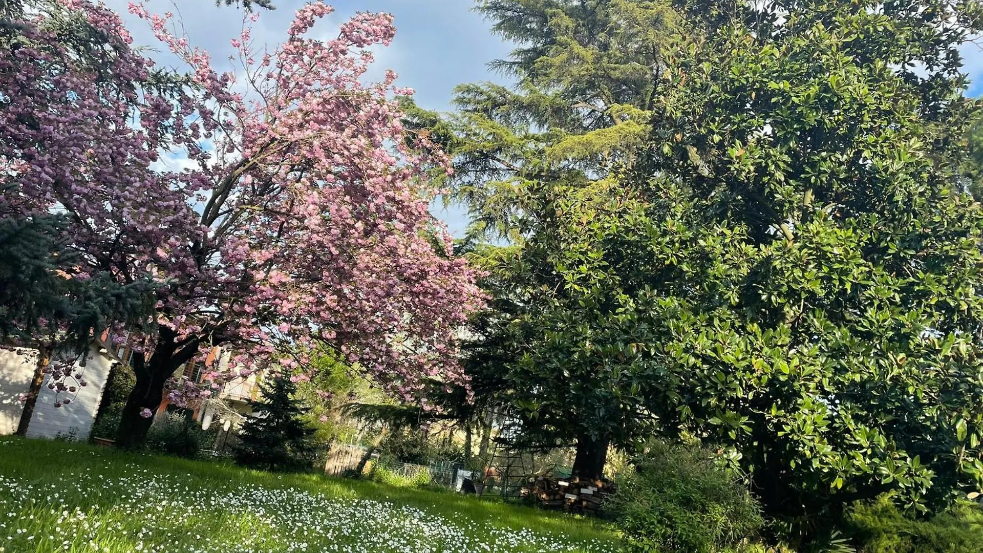פאדובה Villa Giacinti