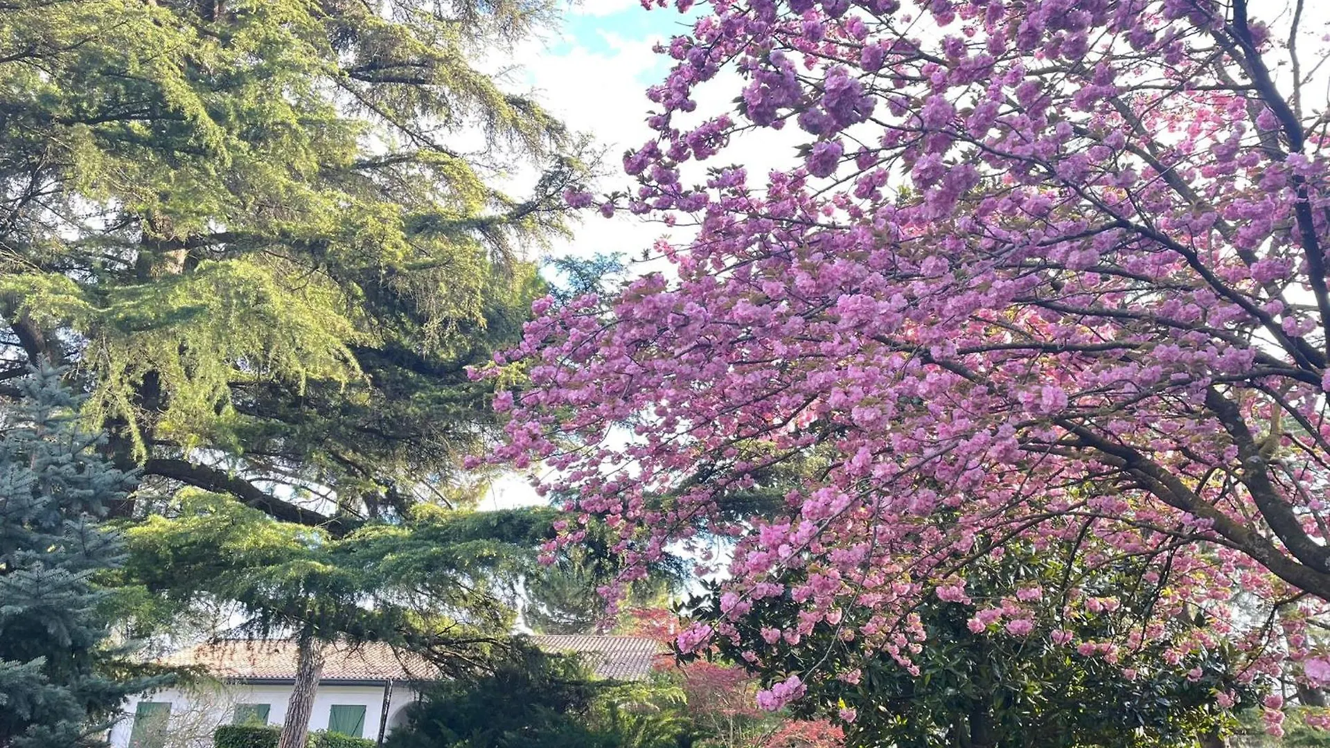 Villa Giacinti Padova Itálie
