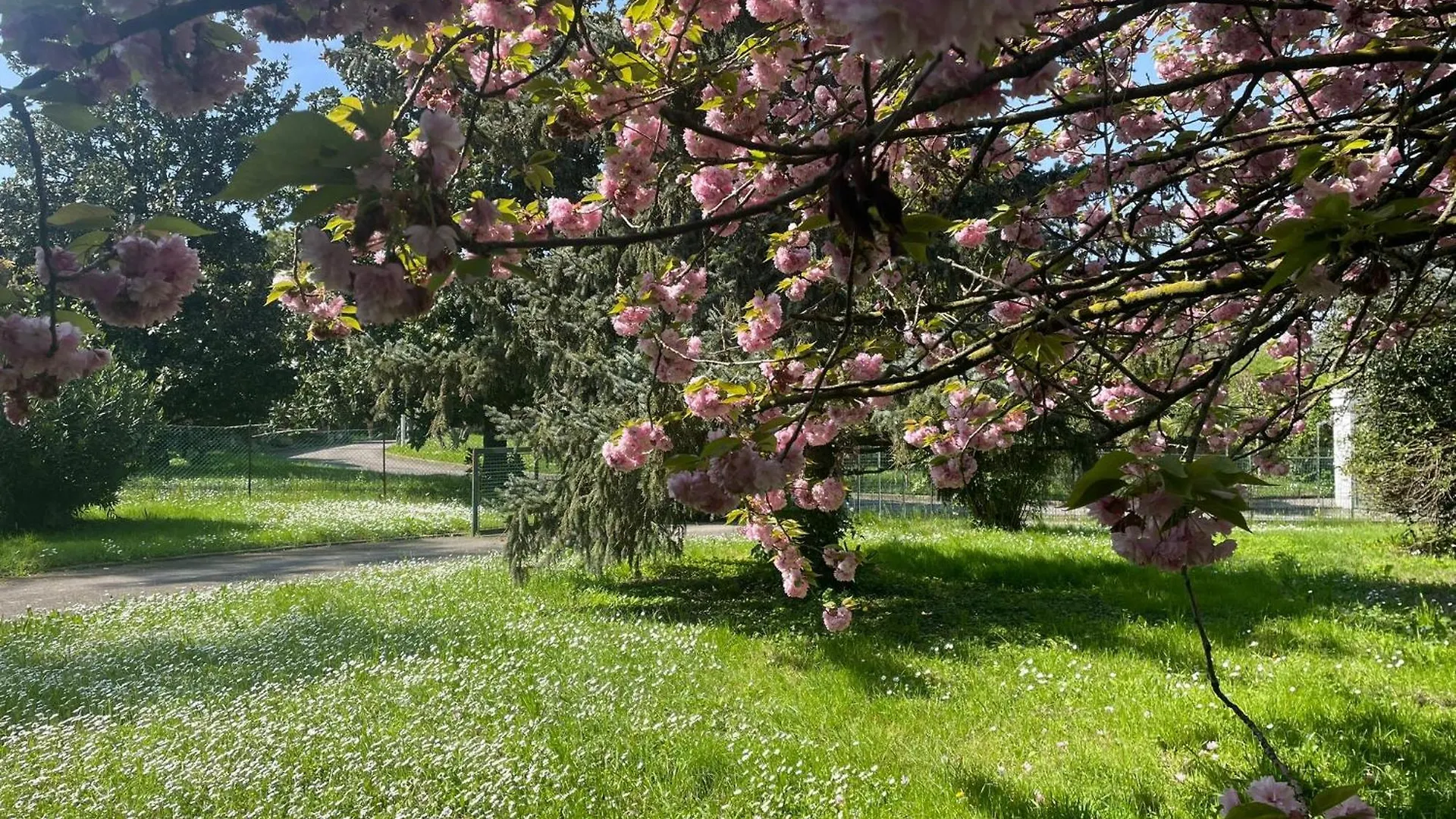 פאדובה Villa Giacinti איטליה