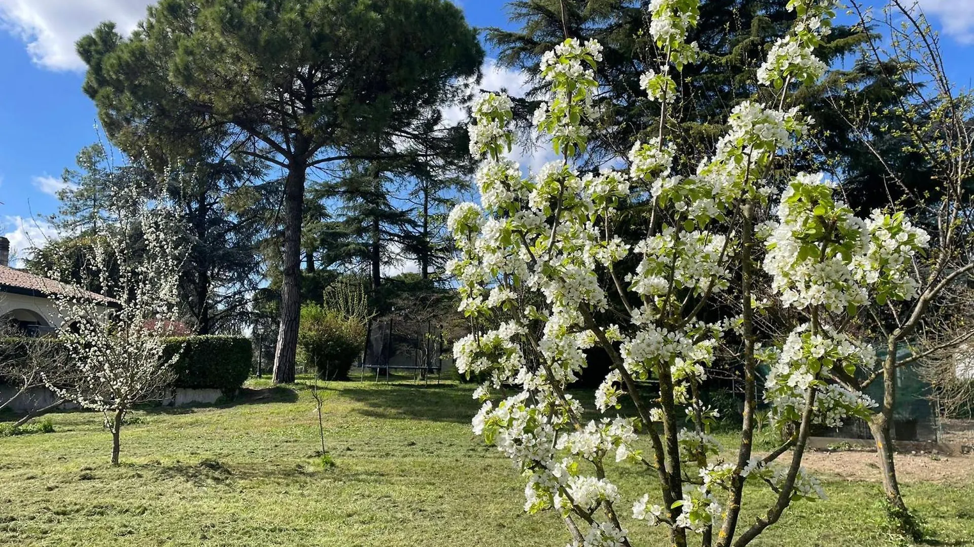 פאדובה Villa Giacinti 0*,